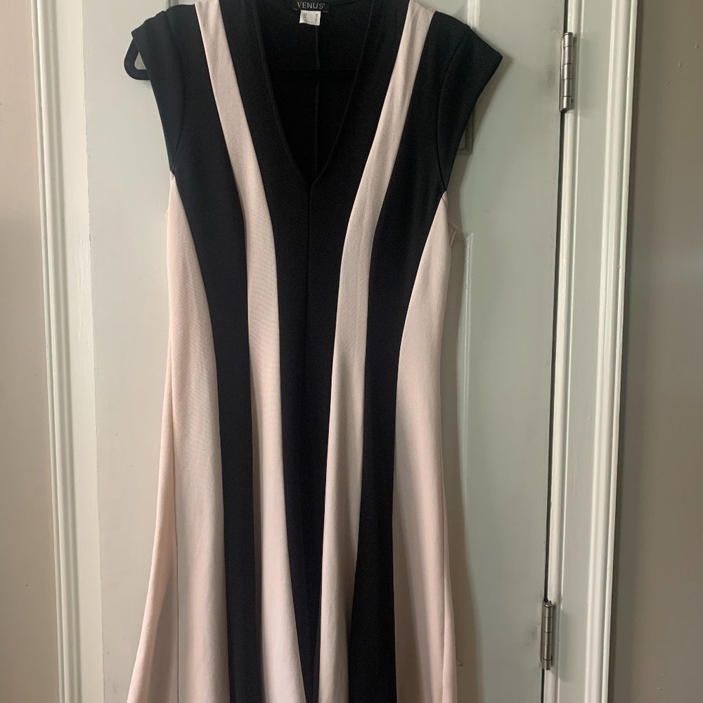 VENUS Black/Cream Colorblock Flared Dress (Size 8)